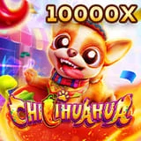 Slot Gacor Fachai Chilihuahua