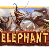 Bocoran RTP Slot Playstar Gaming Elephant